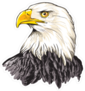 Bald Eagle Head Sticker