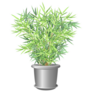 Bamboo Plant In Pot Realistic Sticker