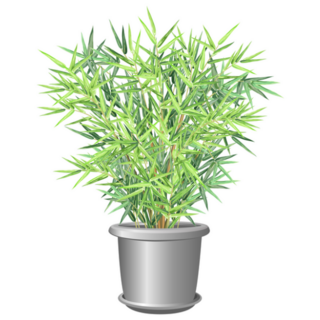 Bamboo Plant In Pot Realistic Sticker