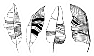 Banana Leaves Illustration Hand Drawn Art Sticker