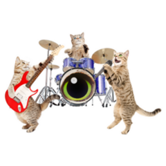 Band Of Cats Musicians Funny Sticker 