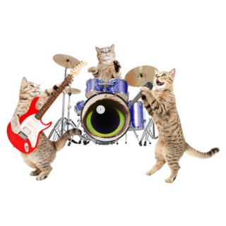 Band Of Cats Musicians Funny Sticker 
