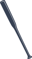 Baseball or Softball Bat with Highlight Sticker