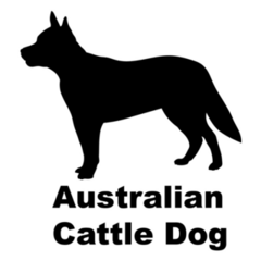 Basic Cattle Dog Sticker