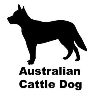Basic Cattle Dog Sticker