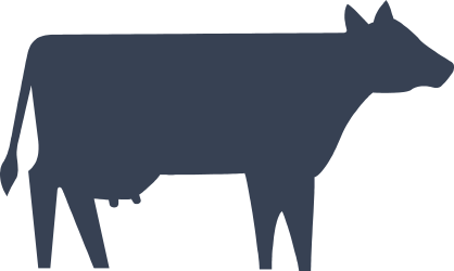 Basic Cow Sticker