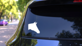 Basic Horse Head Sticker on a Rear Car Window (New) example