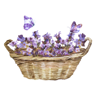 Basket Of Lavender Sticker