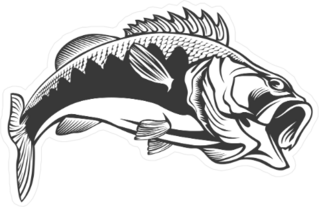 Bass Fish Sticker