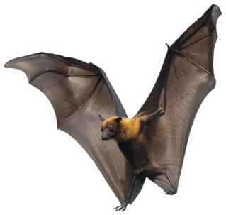 Bat Flying Upright Sticker