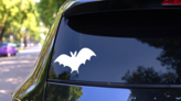 Bat Landing Sticker on a Rear Car Window (New) example