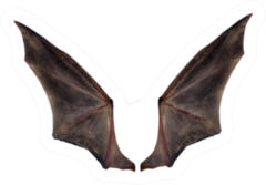 Bat Wings Isolated On White Sticker