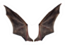 Bat Wings Isolated On White Sticker