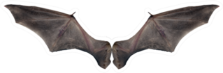 Bat Wings Sticker
