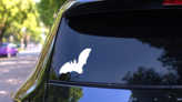 Bat With Small Eyes Sticker on a Rear Car Window (New) example