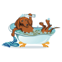 Bathing Dachshund Sticker