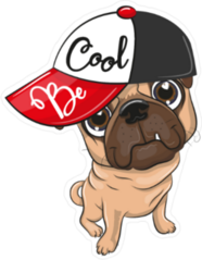 Be Cool Pug Sticker