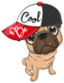 Be Cool Pug Sticker