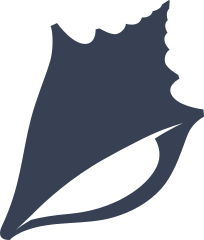 Beach Seashell Sticker