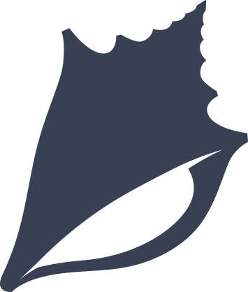 Beach Seashell Sticker