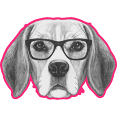 Beagle Drawing Pink Sticker