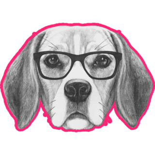 Beagle Drawing Pink Sticker