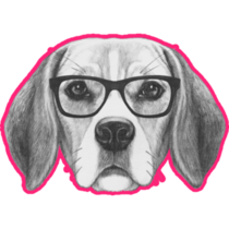 Beagle Drawing Pink Sticker
