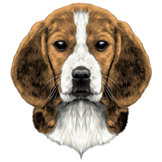 Beagle Face Sketch Sticker