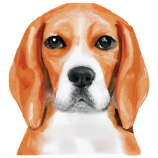 Beagle Illustration Sticker