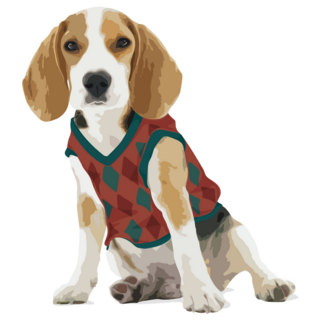 Beagle In Sweater Sticker