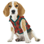 Beagle In Sweater Sticker