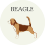 Beagle Label Sticker