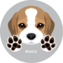 Beagle Paws Sticker