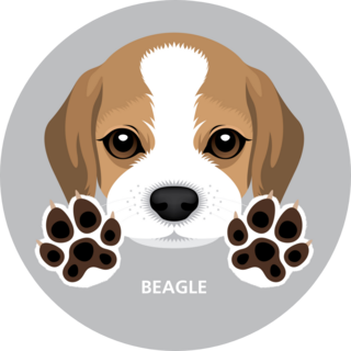 Beagle Paws Sticker