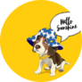 Beagle Sunshine Sticker