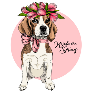 Beagle Tulip Sticker