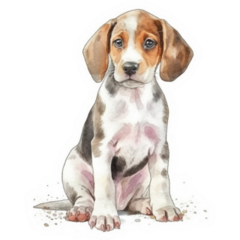 Beagle Watercolor Sticker