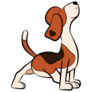 Beagle Yoga Sticker