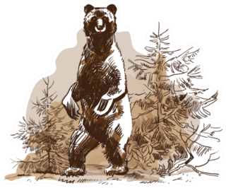 Bear And Pine Tree Illustration Sticker