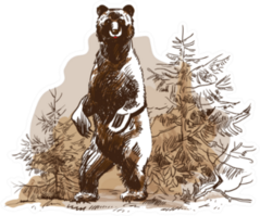 Bear And Pine Tree Illustration Sticker