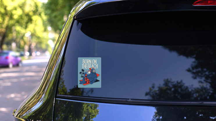 Bear Born On The Beach Sticker on a Rear Car Window (New) example