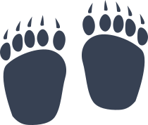 Bear Paw Prints Sticker