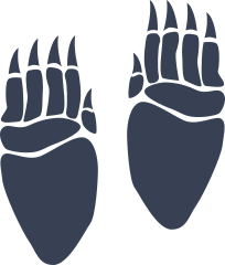 Bear Paw Prints With Long Toes Sticker