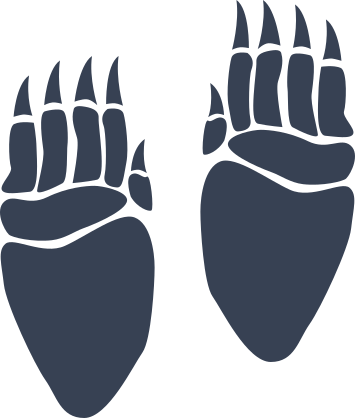 Bear Paw Prints With Long Toes Sticker