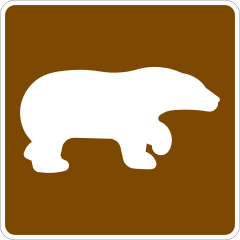 Bear Sticker