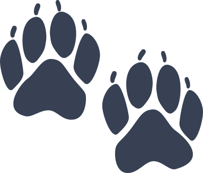 Bear Tracks Sticker