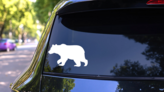 Bear Walking Sticker on a Rear Car Window (New) example