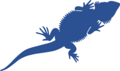 Bearded Dragon Lizard Silhouette Sticker