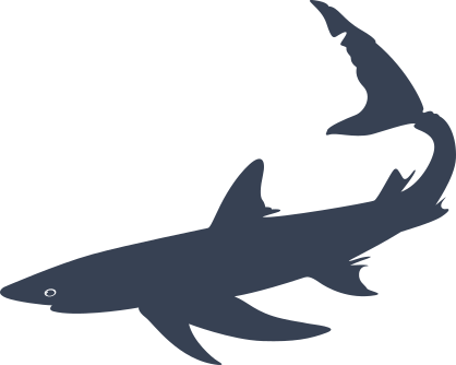 Beat Up Shark Sticker