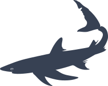 Beat Up Shark Sticker